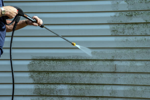 Best Roof Washing  in Horizon City, TX