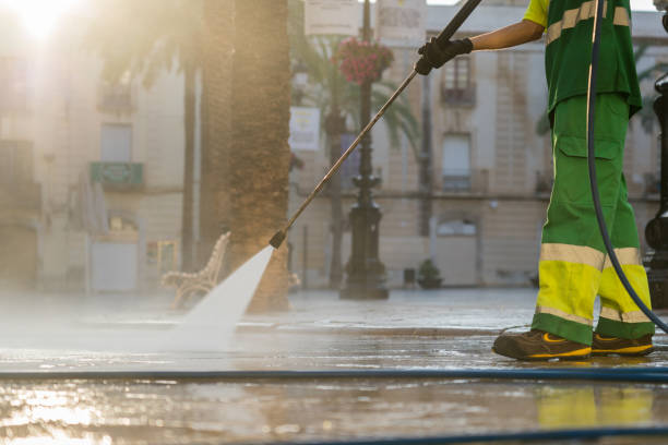 Best Sidewalk and Walkway Cleaning  in Horizon City, TX